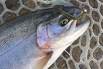 59ルアー　フェザー　エリア　トラウト　管理釣り場　大物釣り　セット 59ルアー フェザー エリア トラウト 管理釣り場 大物釣り セット